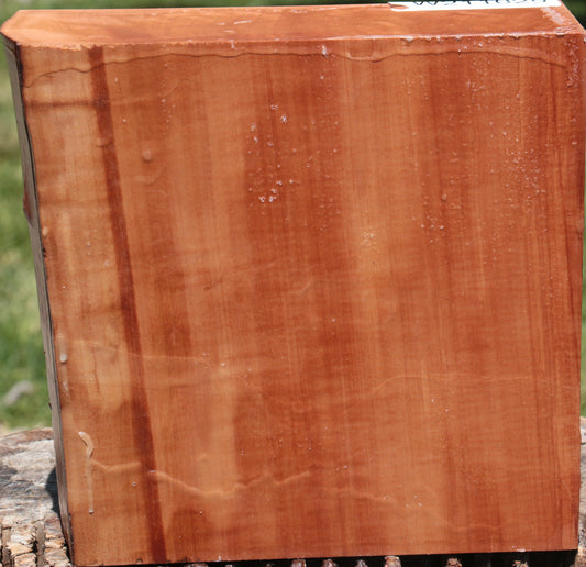 Extra Fancy Swiss Pear Live Edge Bowl Blank