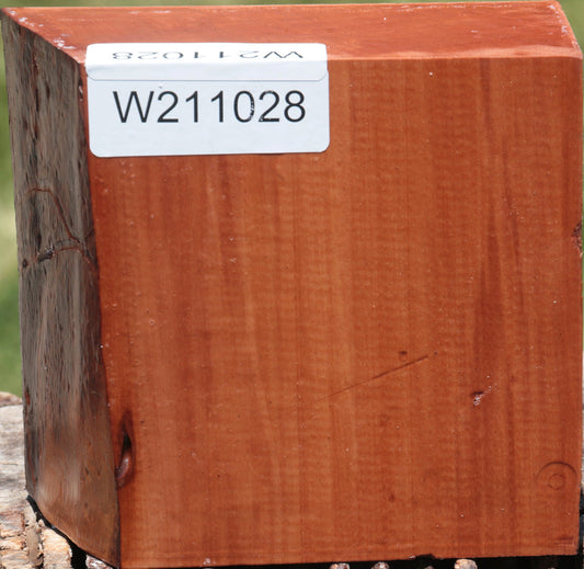 Swiss Pear Live Edge Bowl Blank