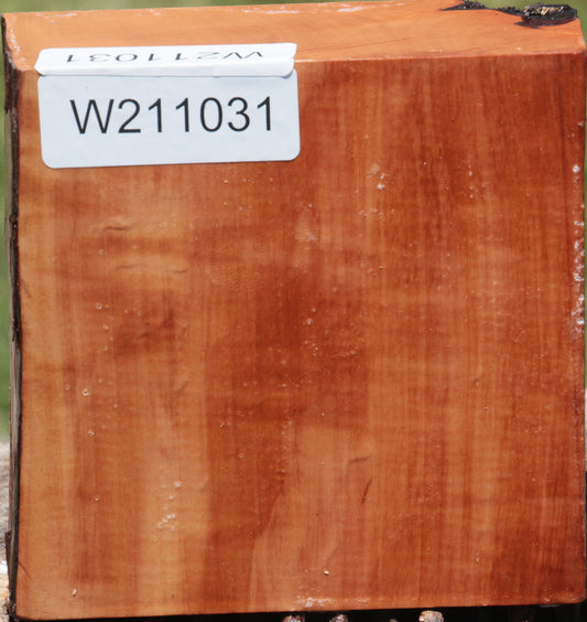 Swiss Pear Live Edge Bowl Blank