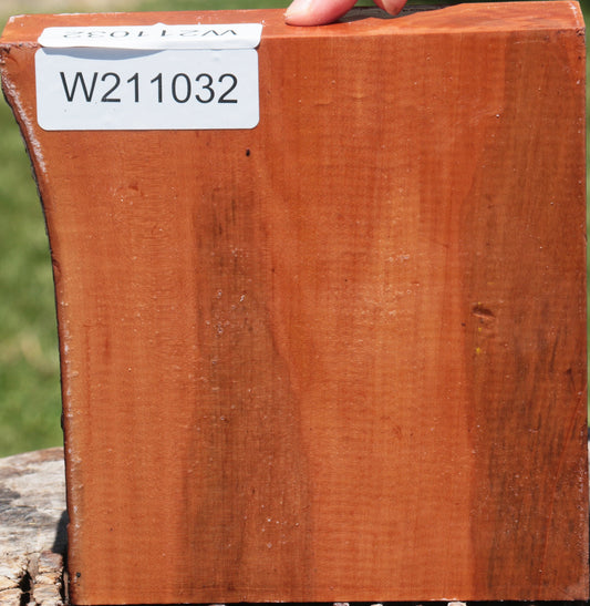 Swiss Pear Live Edge Bowl Blank