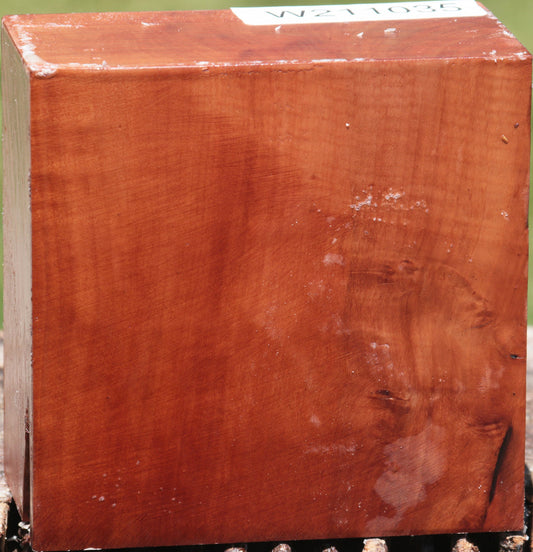 Swiss Pear Bowl Blank