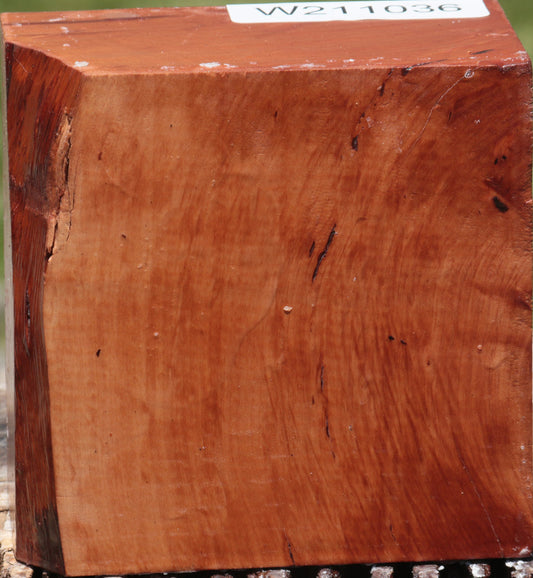 Swiss Pear Bowl Blank