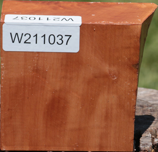 Swiss Pear Live Edge Bowl Blank