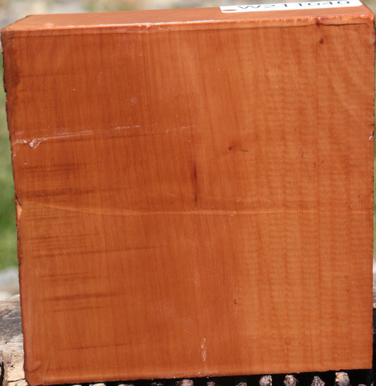 Swiss Pear Live Edge Bowl Blank