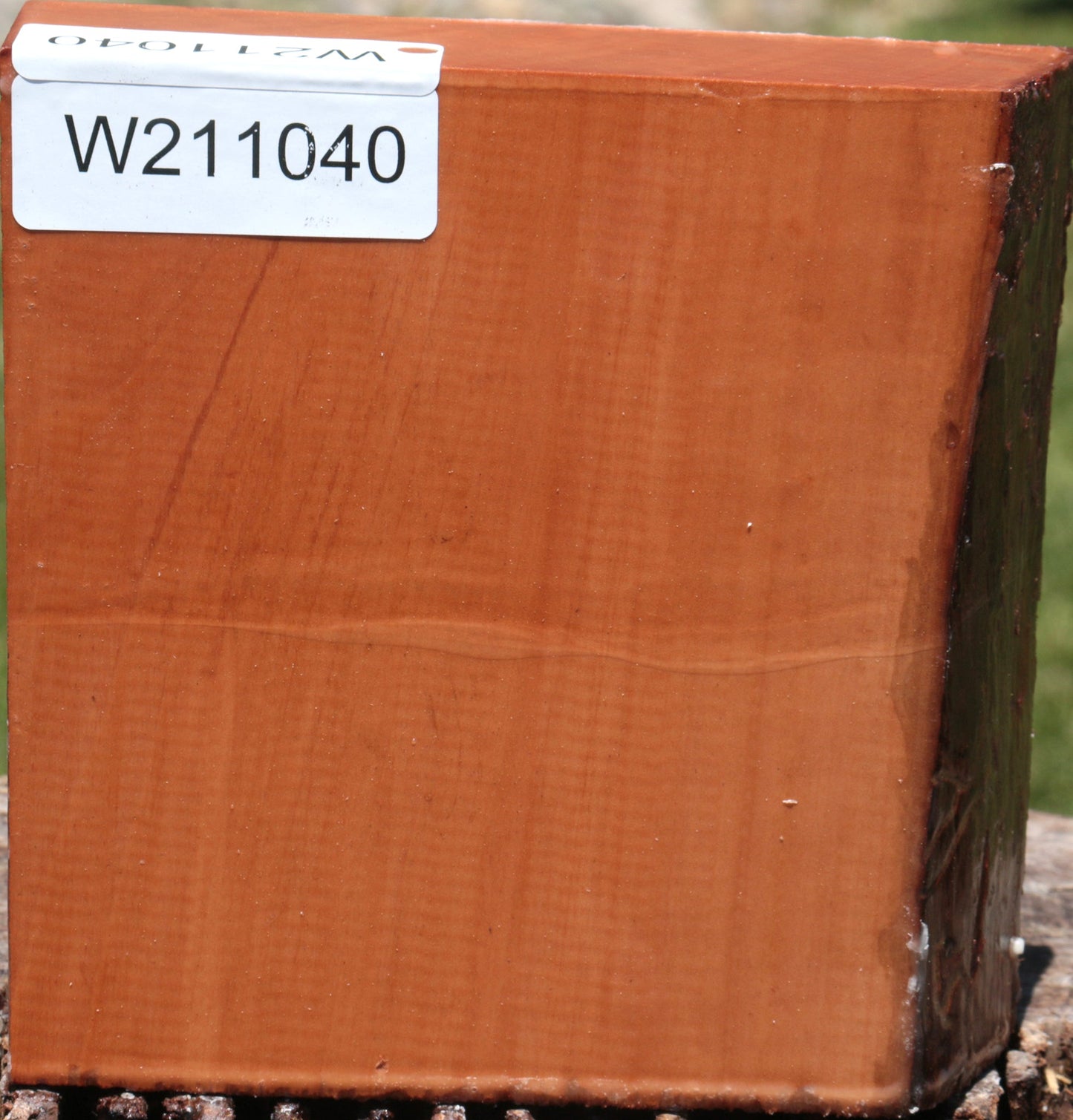 Swiss Pear Live Edge Bowl Blank