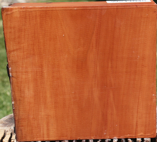 Figured Swiss Pear Live Edge Bowl Blank