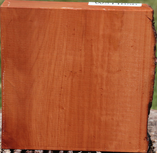 Swiss Pear Live Edge Bowl Blank