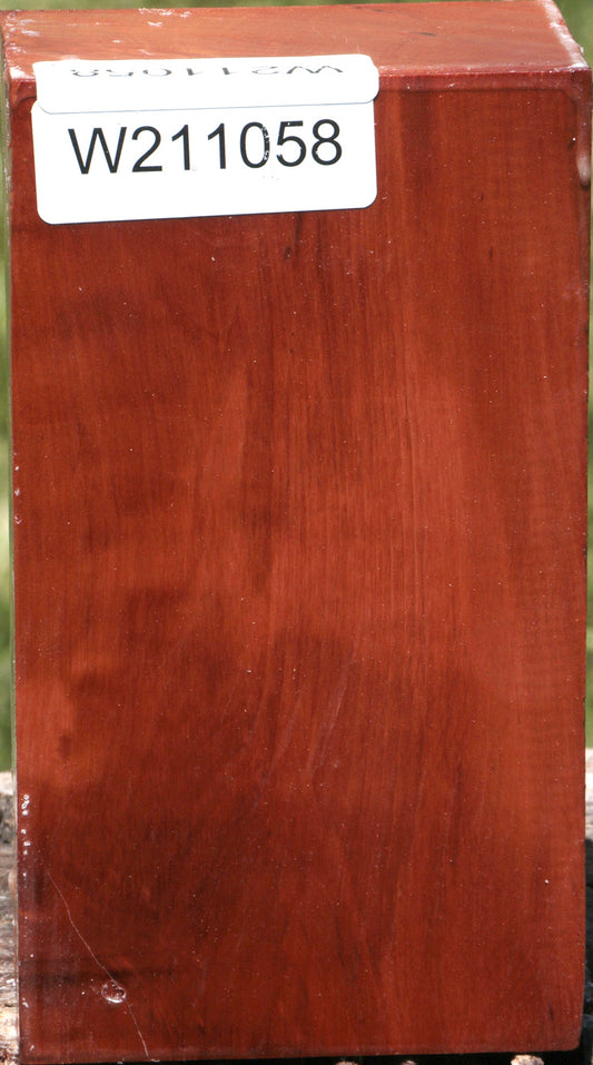 Swiss Pear Turning Blank