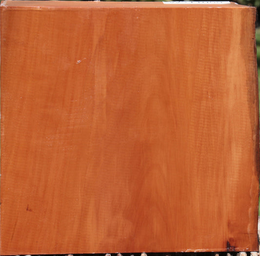 Swiss Pear Live Edge Bowl Blank