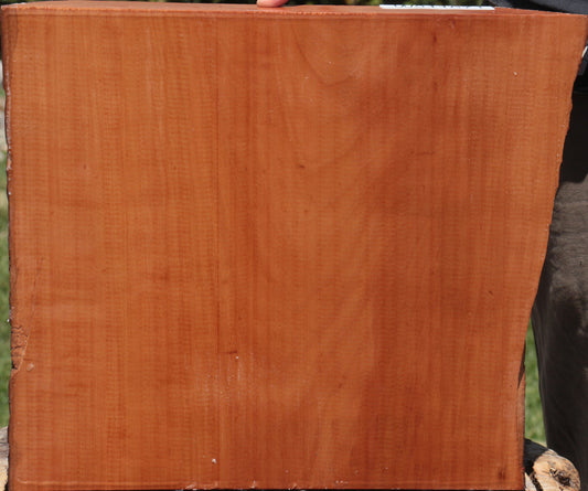 Swiss Pear Live Edge Bowl Blank