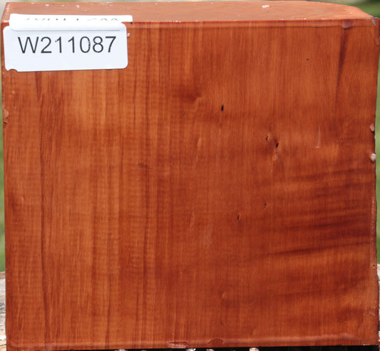 Swiss Pear Live Edge Bowl Blank