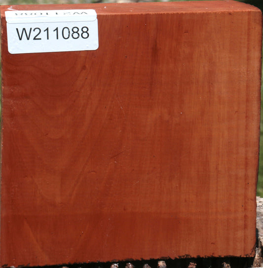 Swiss Pear Live Edge Bowl Blank