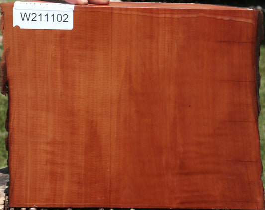 Swiss Pear Live Edge Bowl Blank