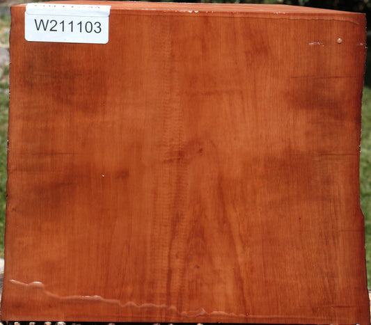 Swiss Pear Live Edge Bowl Blank