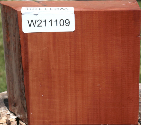 Swiss Pear Live Edge Bowl Blank