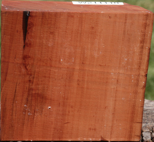 Swiss Pear Live Edge Bowl Blank