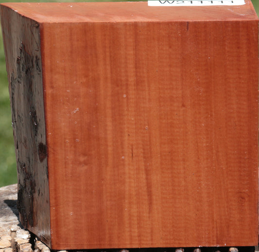 Swiss Pear Live Edge Bowl Blank