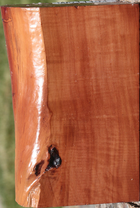Extra Fancy Swiss Pear Live Edge Bowl Blank