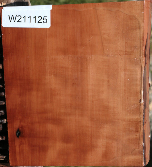 Extra Fancy Swiss Pear Live Edge Bowl Blank