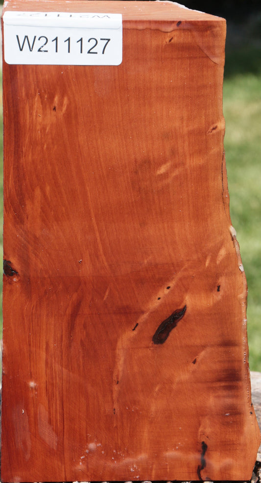 Swiss Pear Live Edge Turning Blank