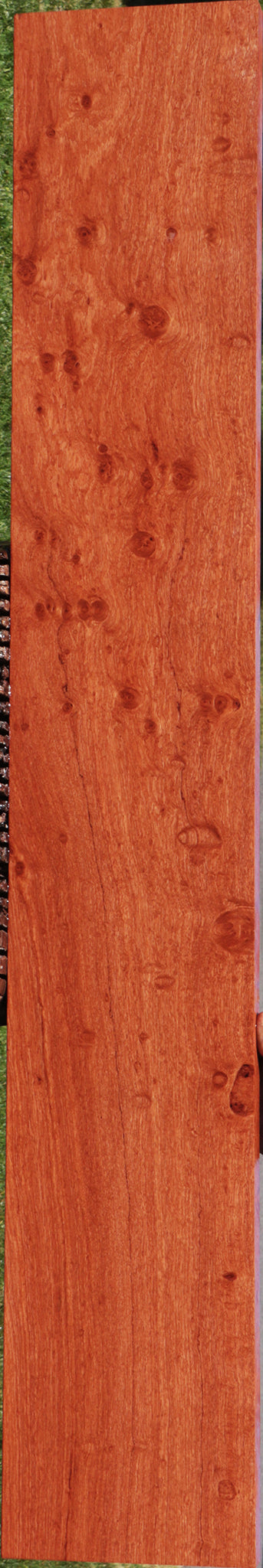 Extra Fancy Zambian Rosewood Lumber