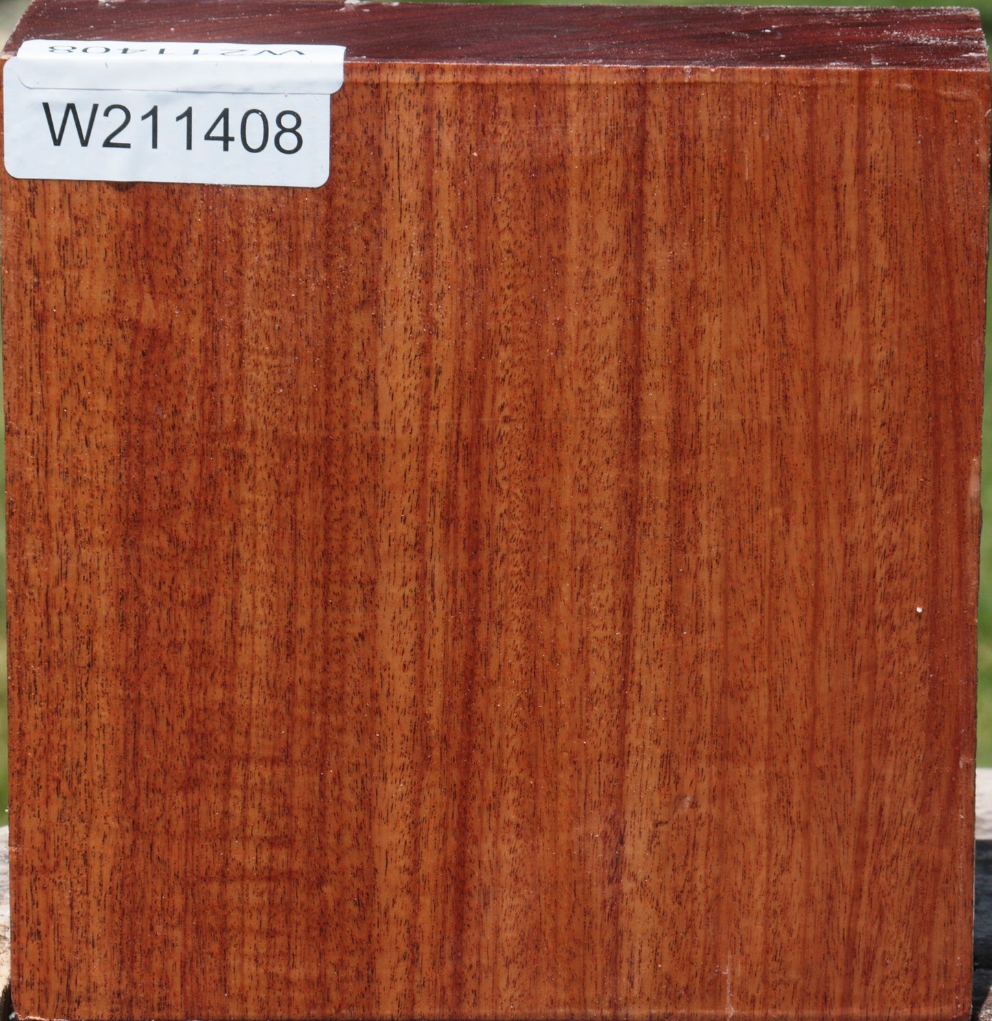 Figured Macacauba Bowl Blank