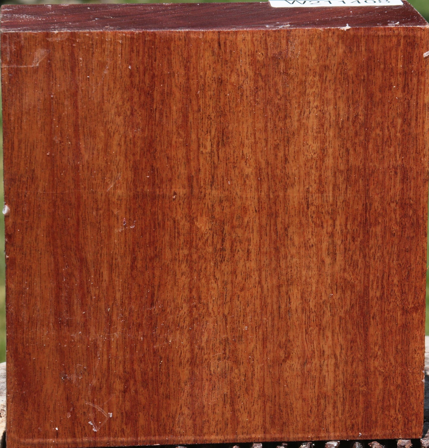 Figured Macacauba Bowl Blank