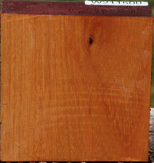 Argentine Osage Orange Bowl Blank