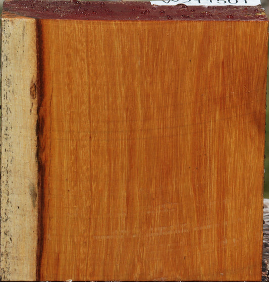 Argentine Osage Orange Bowl Blank