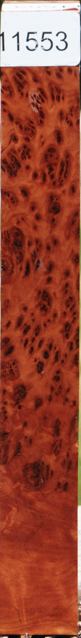 Red Mallee Burl Turning Square