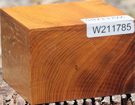 Osage Orange Bowl Blank