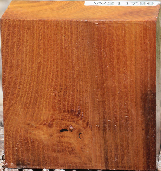 Osage Orange Bowl Blank