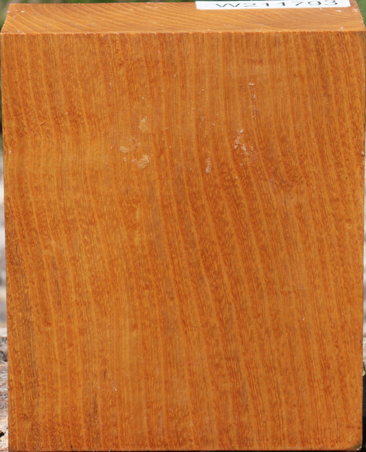 Osage Orange Turning Blank