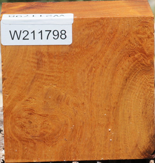 Osage Orange Burl Bowl Blank