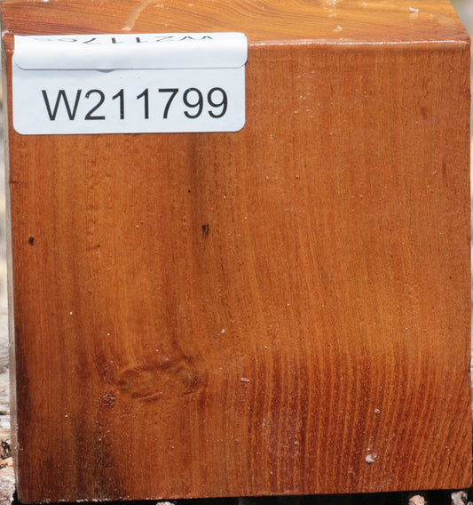 Osage Orange Bowl Blank