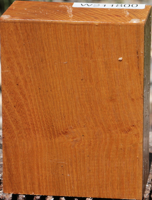 Osage Orange Turning Blank