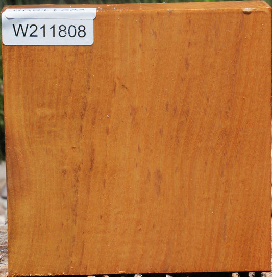 Osage Orange Bowl Blank