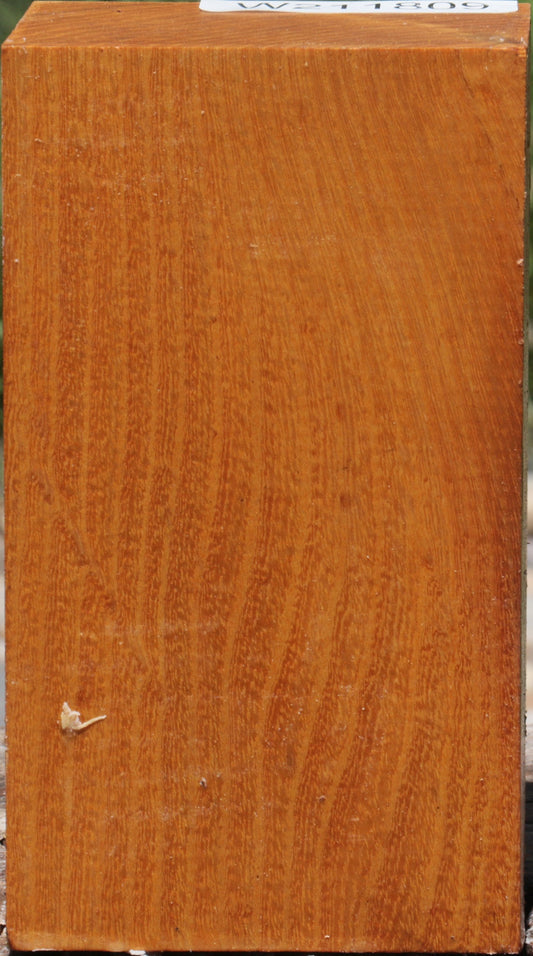 Osage Orange Turning Blank