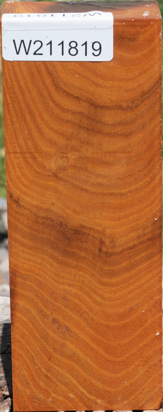 Osage Orange Turning Blank