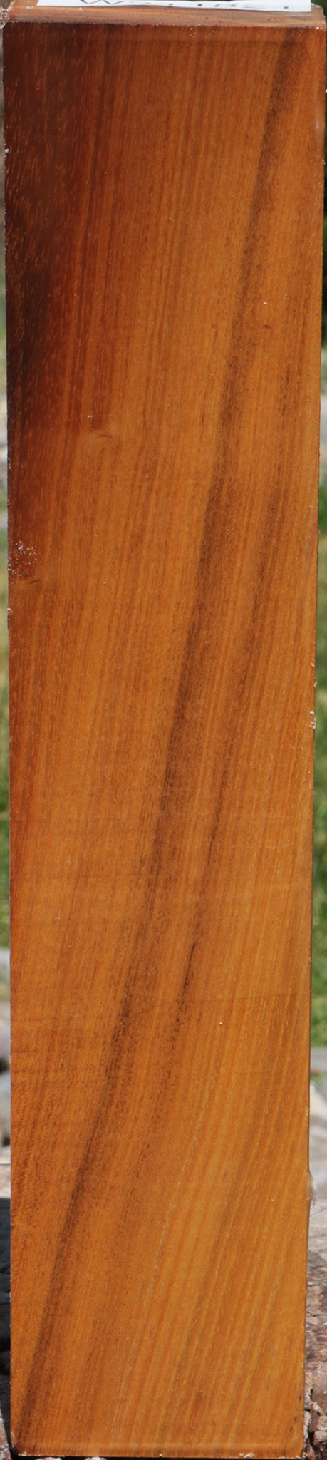 Osage Orange Turning Blank