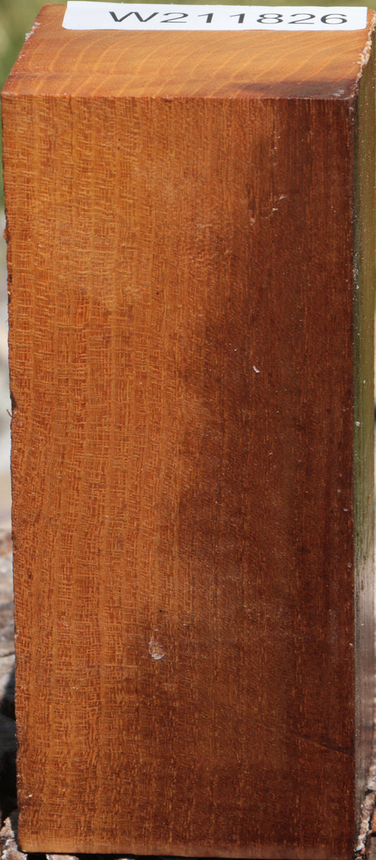 Osage Orange Turning Square