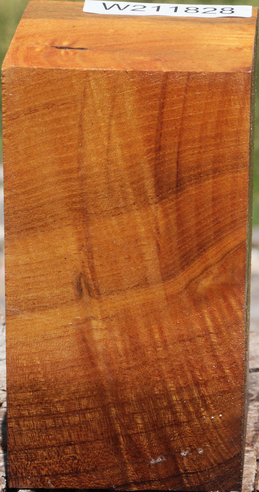 Extra Fancy Osage Orange Turning Square