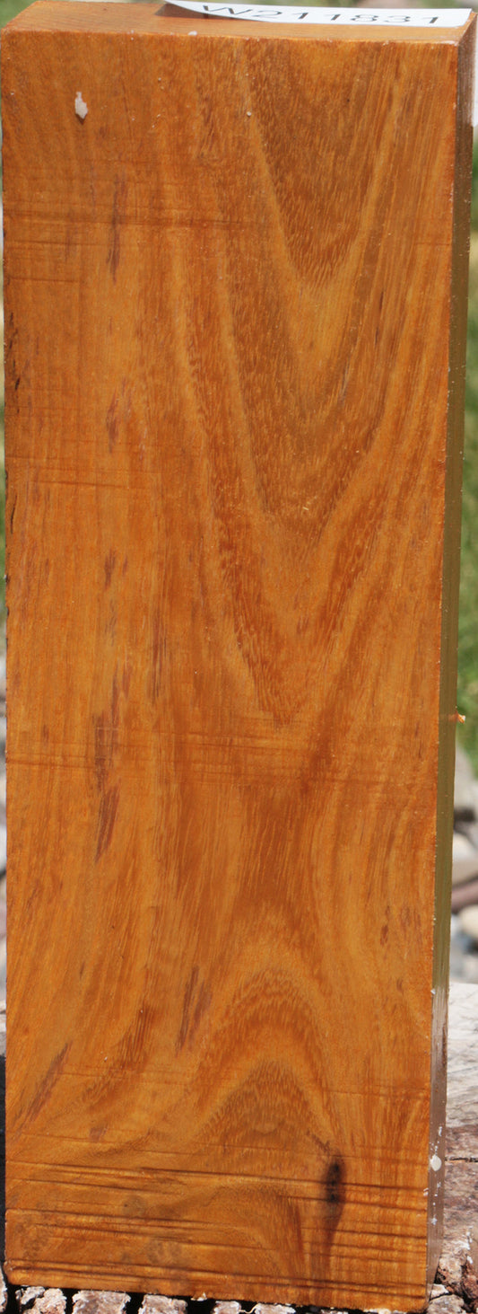 Osage Orange Turning Blank