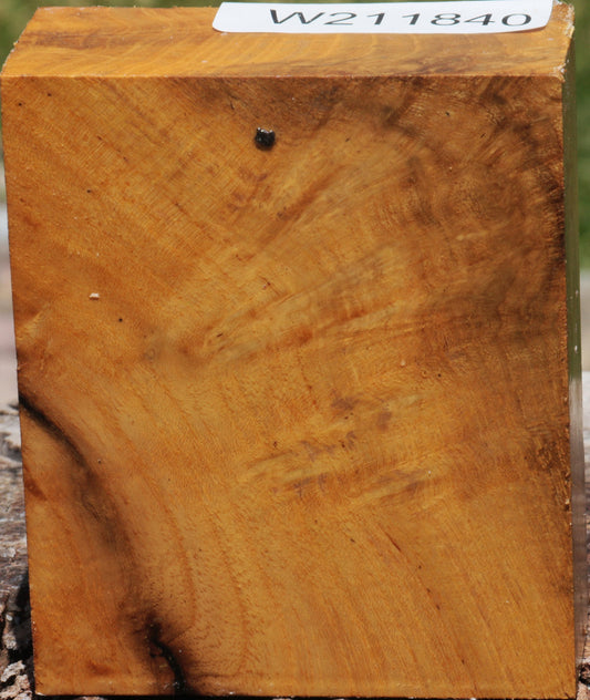 Figured Osage Orange Bowl Blank