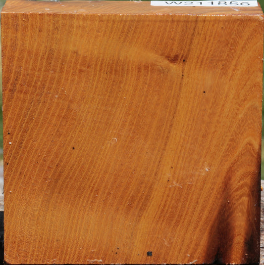 Osage Orange Bowl Blank