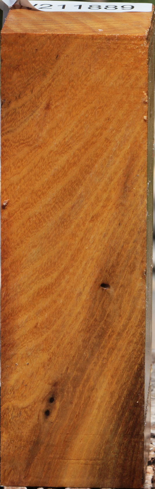 Osage Orange Turning Square