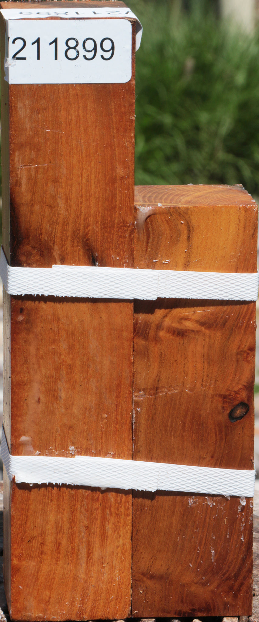 Osage Orange Turning Square 2-Pack