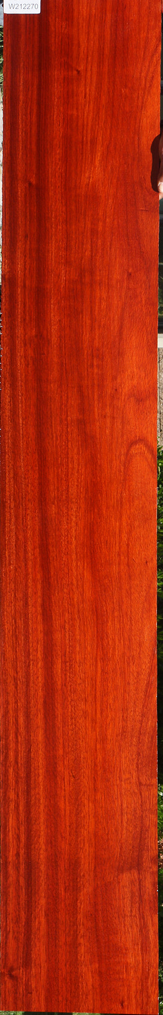 Padauk Lumber