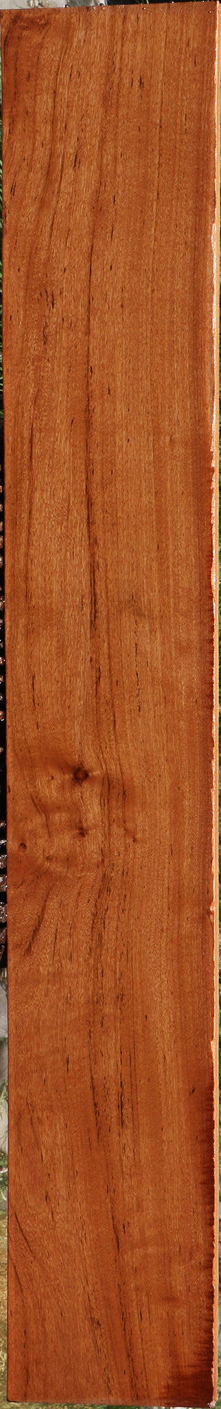 Zambezi Teak Lumber