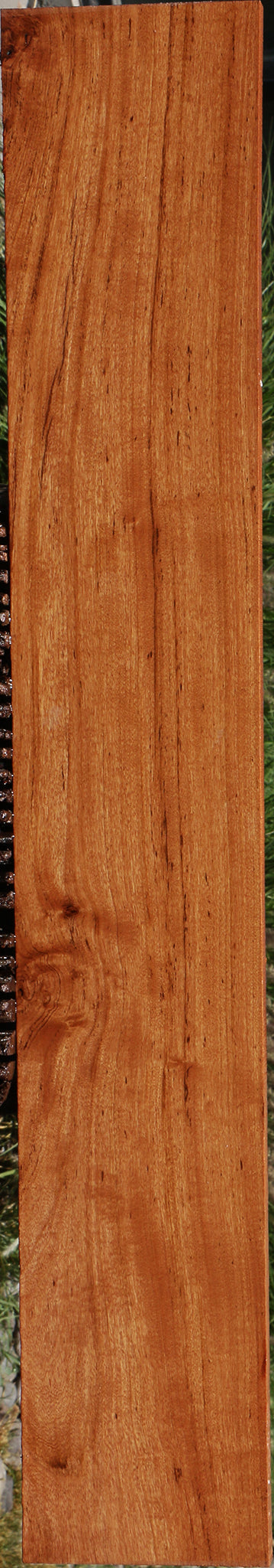 Zambezi Teak Lumber